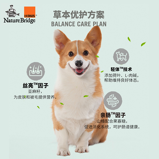 比瑞吉無(wú)谷草本全價(jià)小型犬成年期犬糧（體重管理）