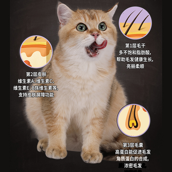 比瑞吉無谷六種魚全價(jià)貓糧（全期）
